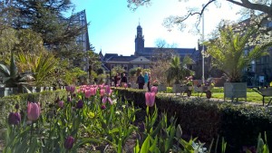 Hortus Botanicus Leiden, April 2015