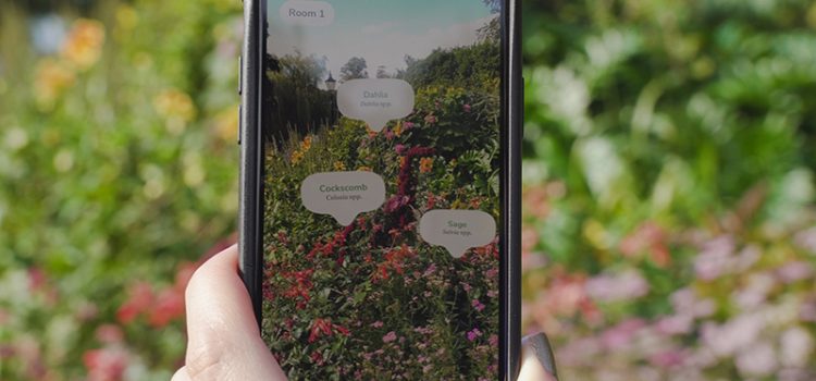 Mobile phone displaying virtual plant labels from "Candide Labels", an iOS app which uses augmented reality technology to help identify plants, place labels, and find growing and care information