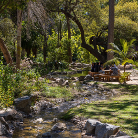 Garden of the Month – June 2026: UCLA Mathias Botanical Garden