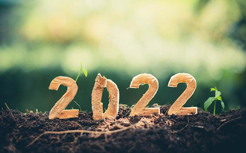 2022 seedlings
